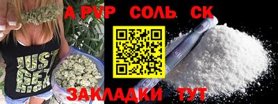 гидра Будённовск