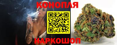 гидра Будённовск