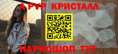 гидра Будённовск