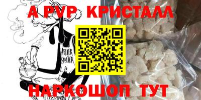гидра Будённовск