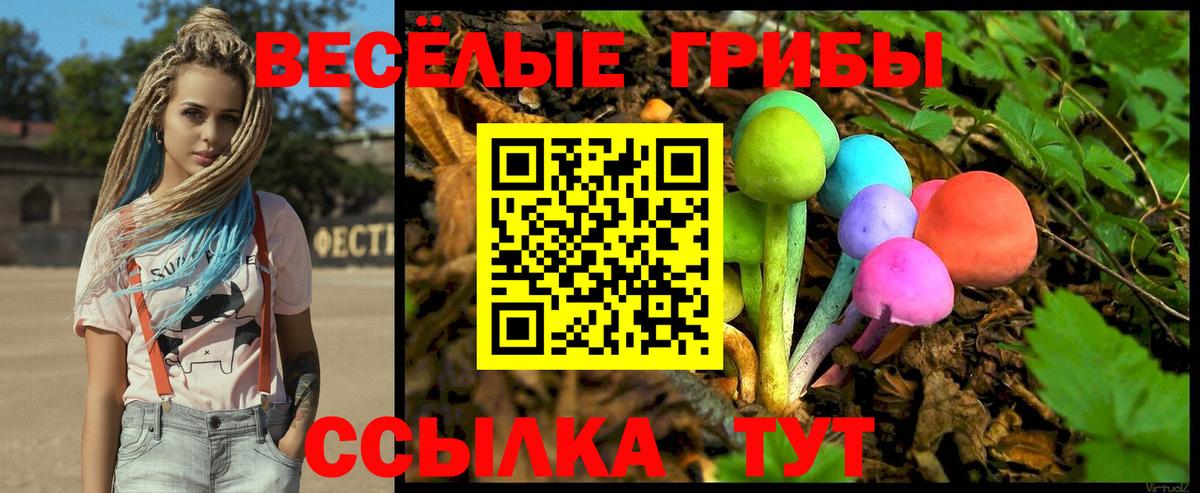 Псилоцибиновые грибы Psilocybine cubensis Юрга