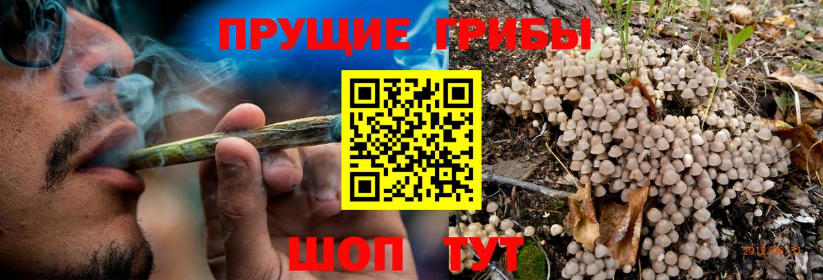 Юрга  Псилоцибиновые грибы Magic Shrooms  Вход с VPN  Псилоцибиновые грибы MAGIC MUSHROOMS 
